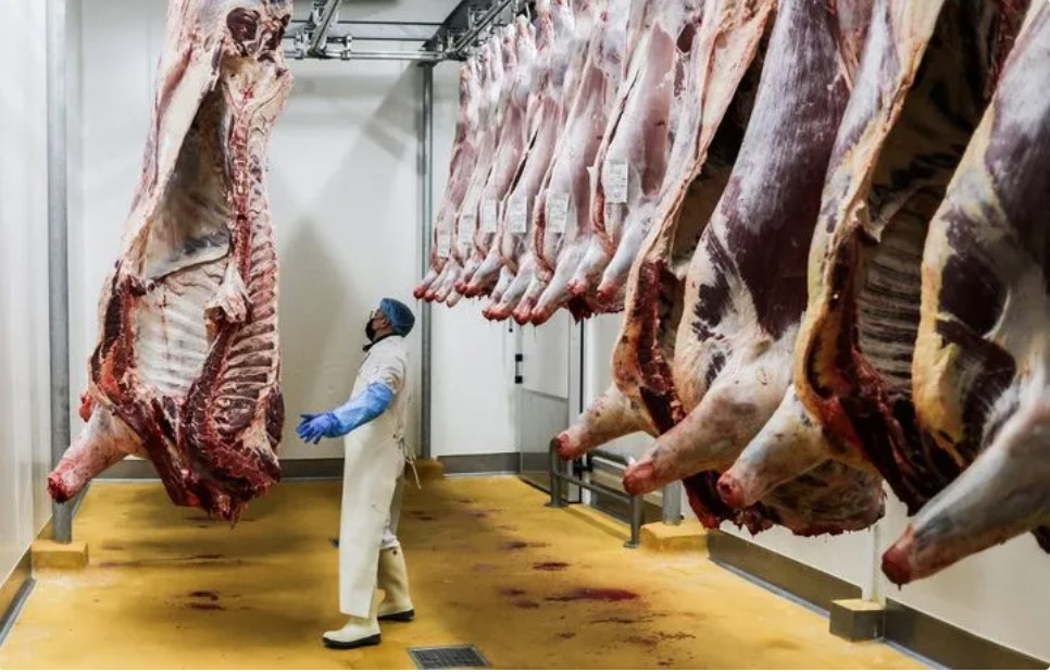 abattoir bordeaux metropole